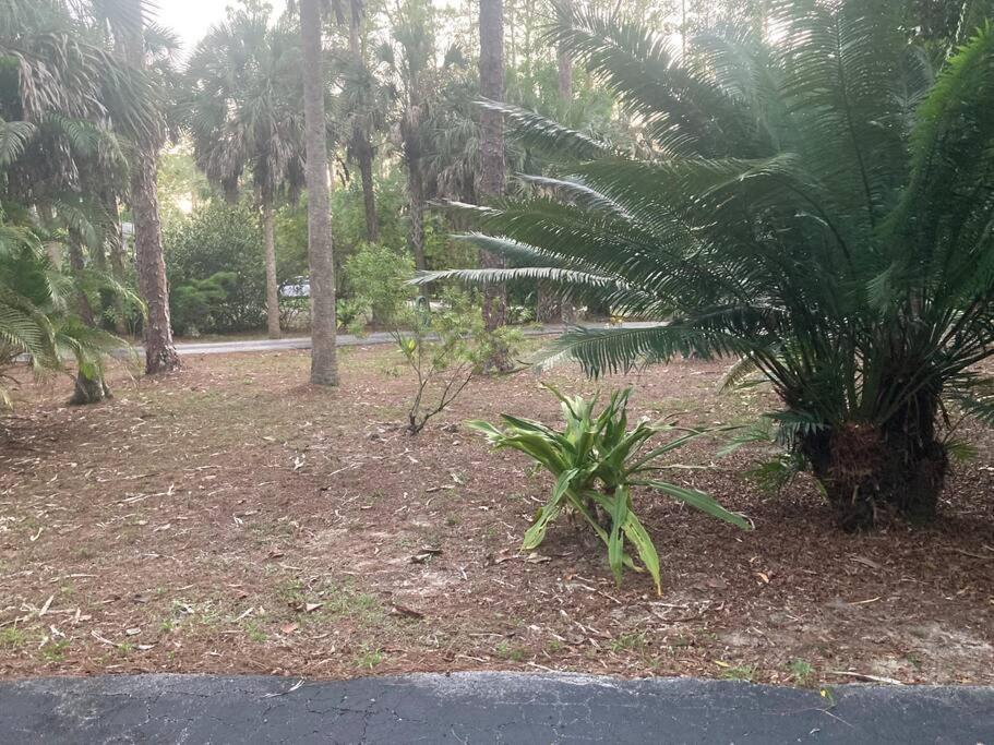 "Mia'S Place" Beautiful Private Apartment Surrounded By Nature North North Naples Esterno foto